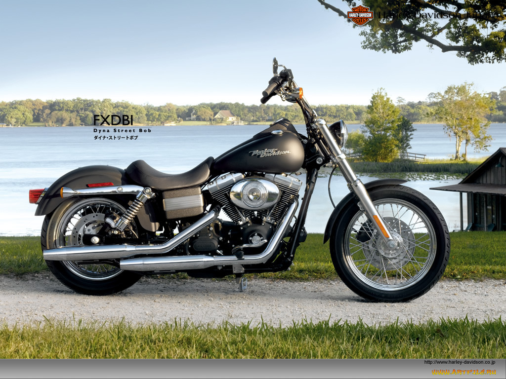 , harley, davidson